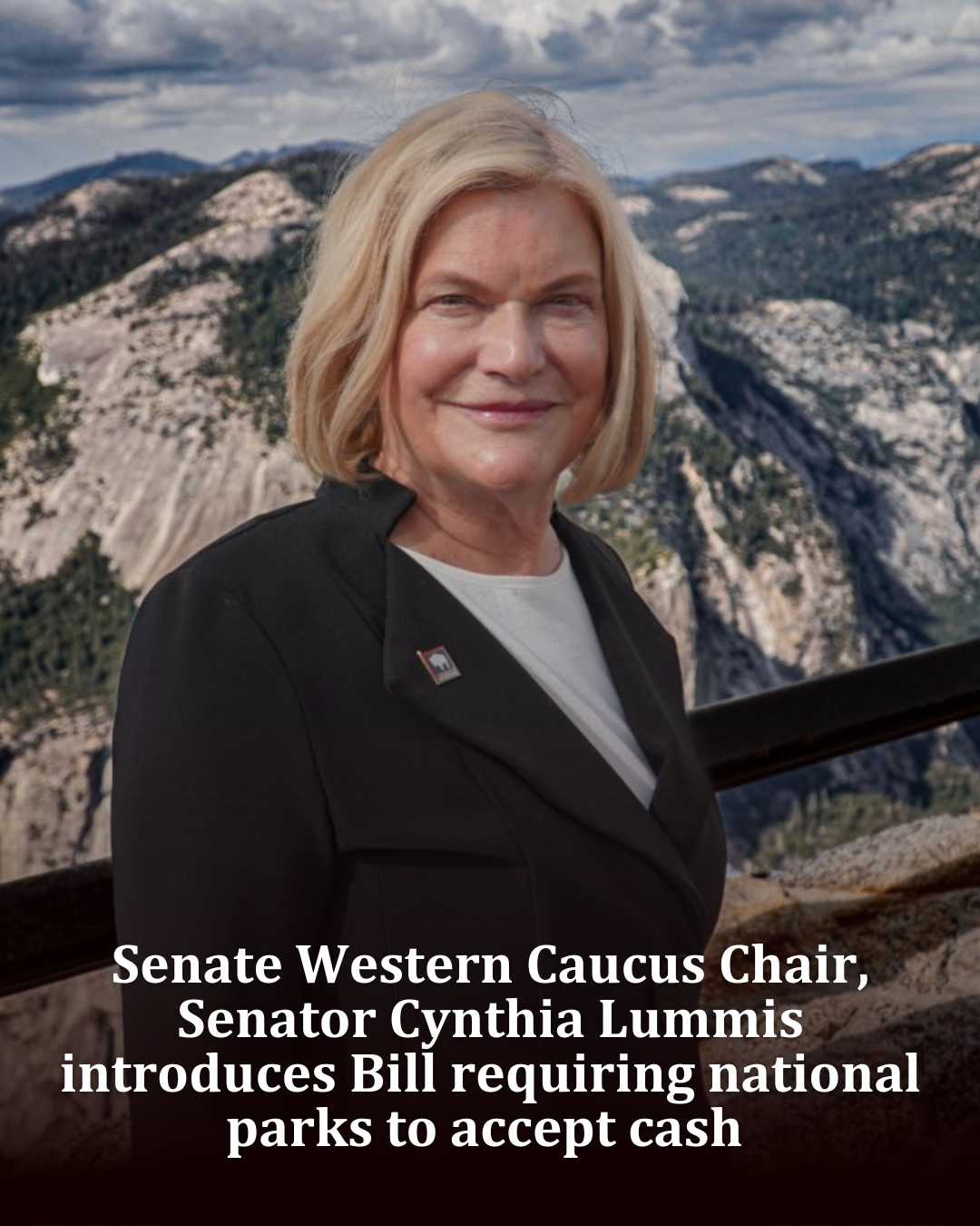 Newhouse and Lummis (5)